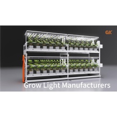 Grow Lights System